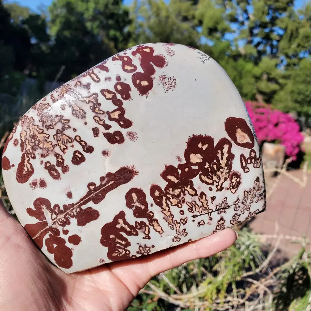 Picture Stone Jasper Dendritic Dendrite Display Freeform 706 Gram